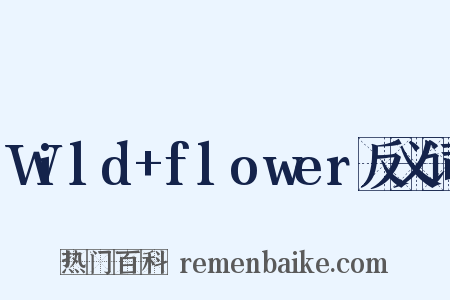 Wild+flower反义词是什么意思的图片